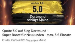 bildbet mainz 05 bvb